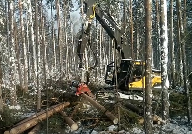 Харвестер Volvo EC220DL